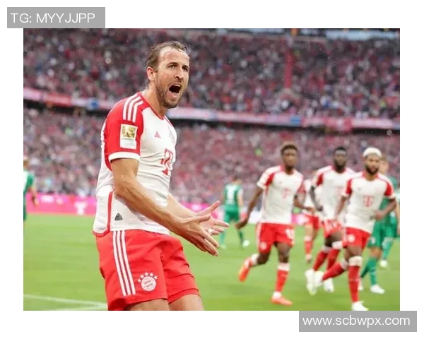 拜仁慕尼黑力克勒沃库森,强势稳固德甲榜首位置 拜仁慕尼黑力克勒沃库森,强势稳固德甲榜首位置