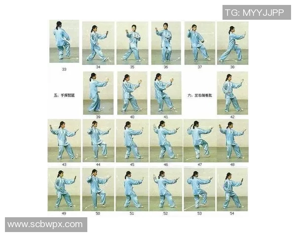 陈氏太极拳24式教学视频全解析助你轻松掌握太极拳的精髓与技巧