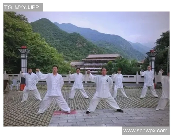 太极拳教程：从基础入门到高级技巧的全面学习指南与实用技巧分享