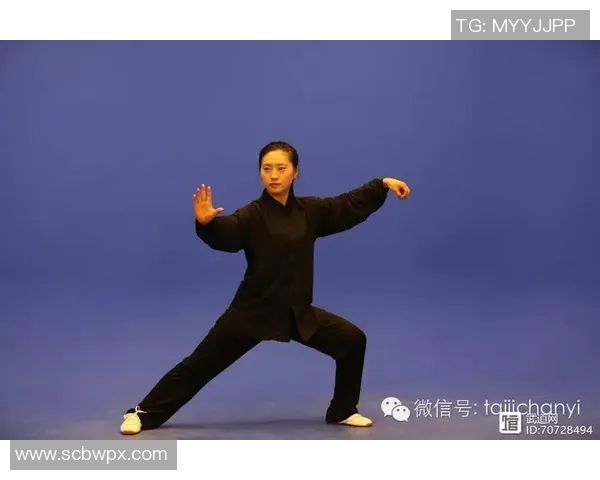 太极小架的精髓与修炼方法探讨及其对身心健康的积极影响