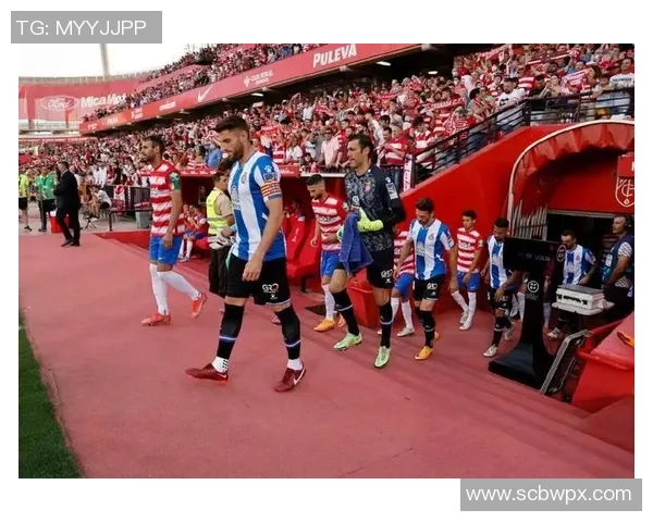 西班牙人主场险胜格拉纳达，继续保持良好联赛战绩